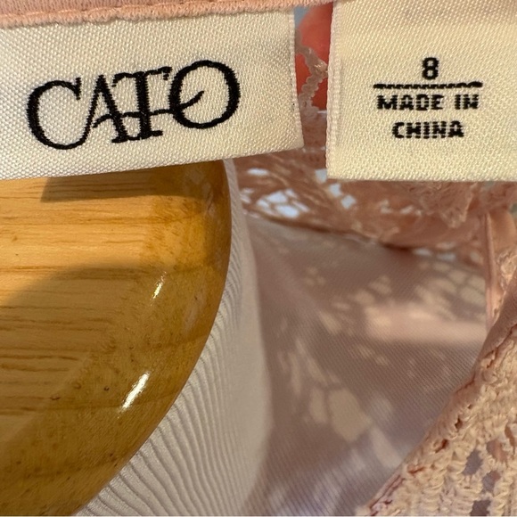 Romantic Rosette Coquette Lace Embroidered Elegant Pink Dress Sz 8 - Picture 10 of 12